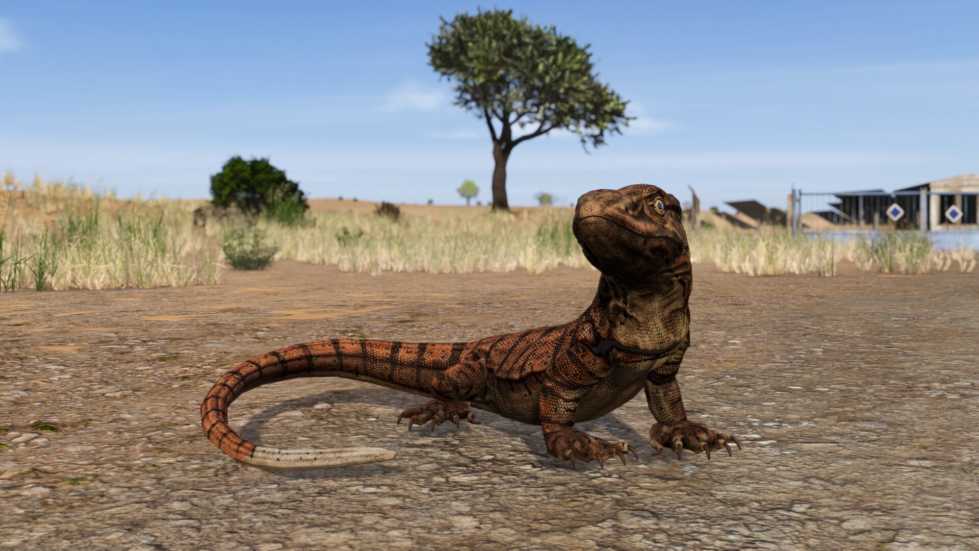 Desert monitor lizard in the arid Nasdara landscape in DayZ Badlands