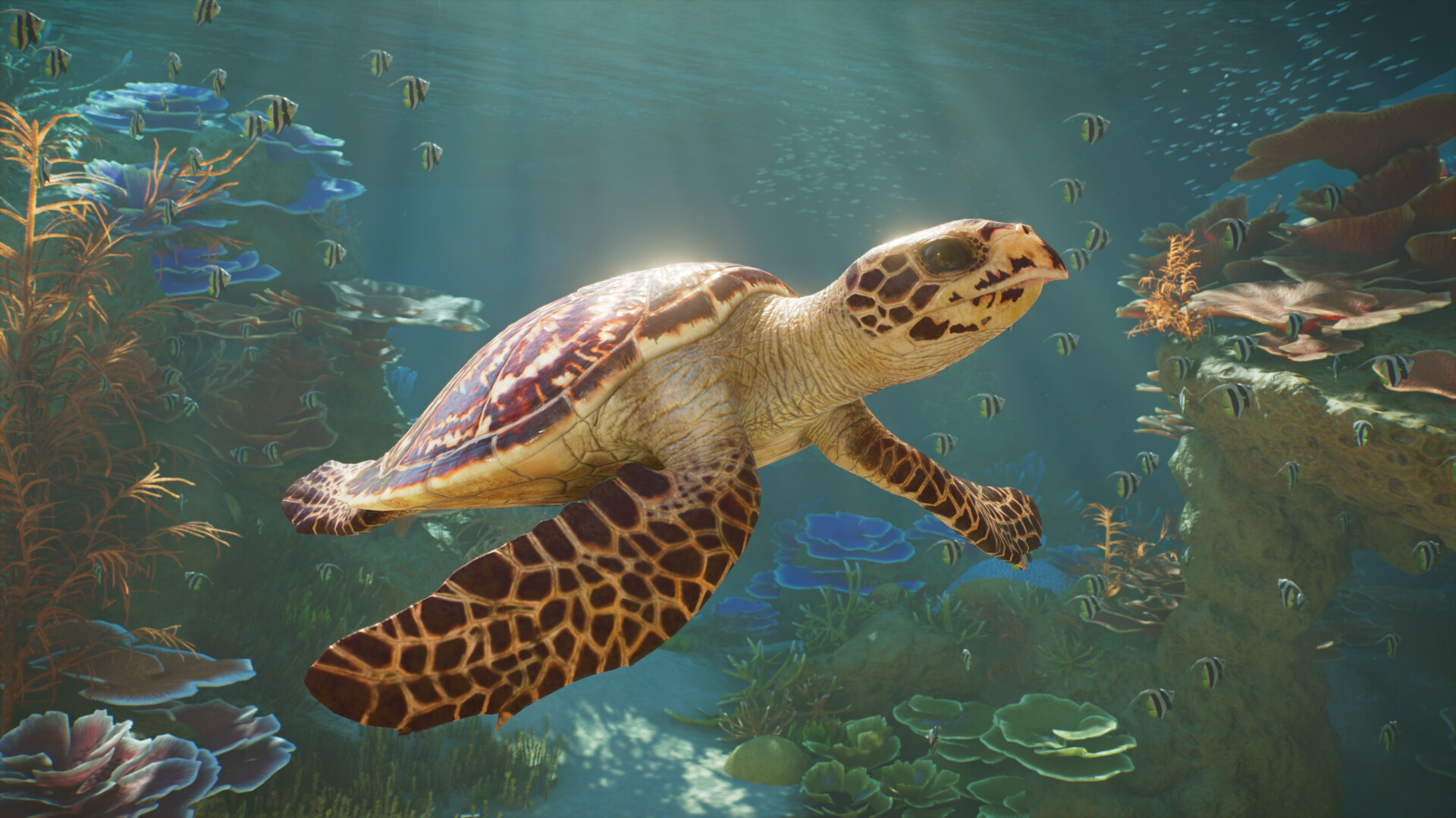 A sea turtle swimming over a coral reef in Planet Zoo 2